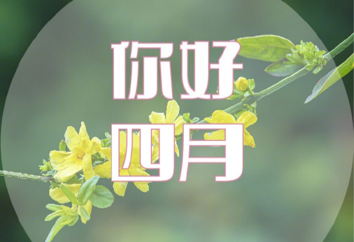 4 月裝修，錯過等一年！青島業主必看的裝修黃金時機?